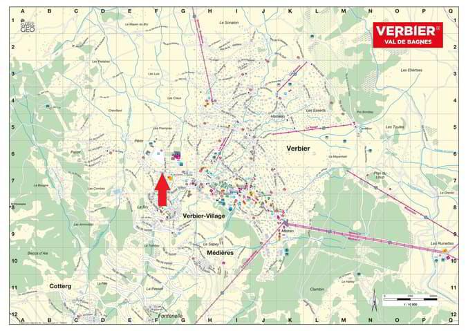 GENTIANES ETAGE DUPEX COMBLES