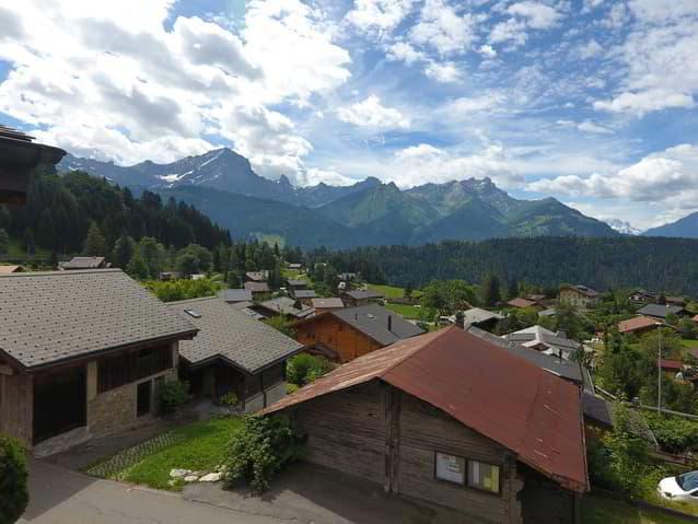 A vendre : Charmant appartement de 1.5 pièces avec jardin.