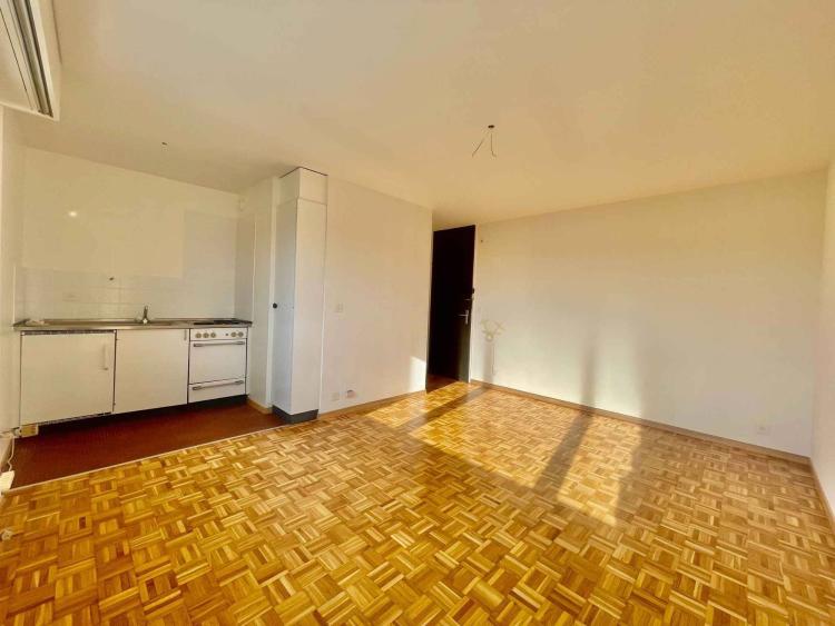 Apartment for rent, Morges (Morges, Switzerland)