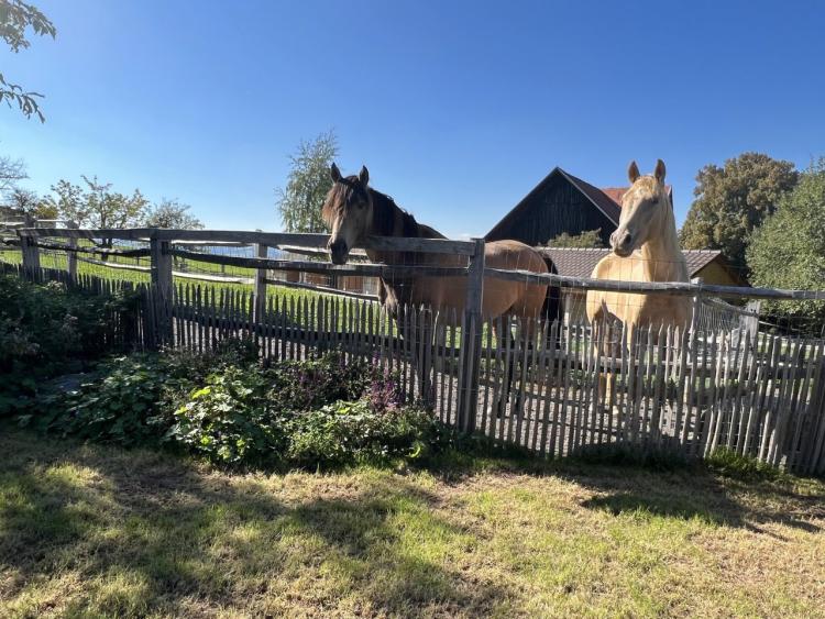 House for sale, Route de Lucens 7 (Valbroye, Switzerland)