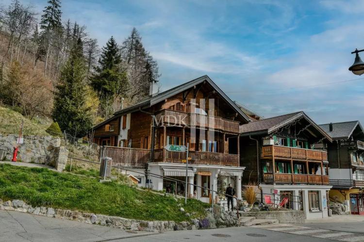 Magnifique chalet comprenant un appartement et un local commercial