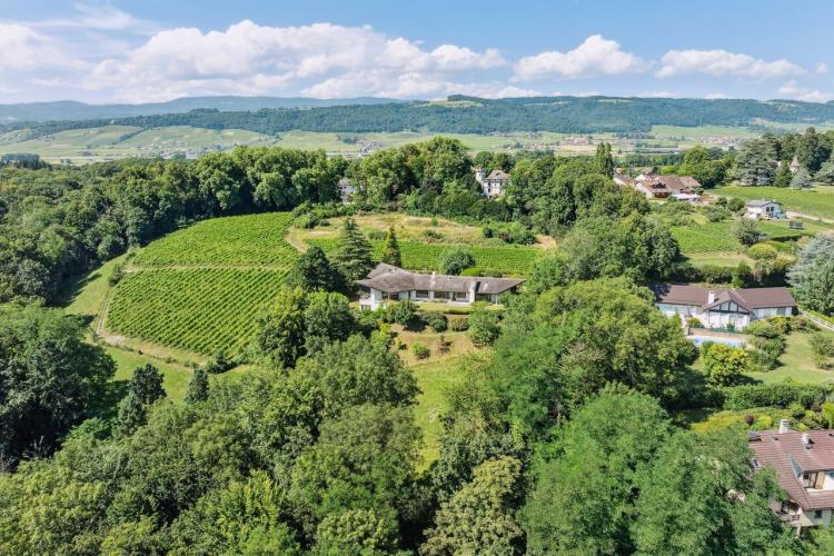 House for sale, Cadre verdoyant (Dully, Switzerland)