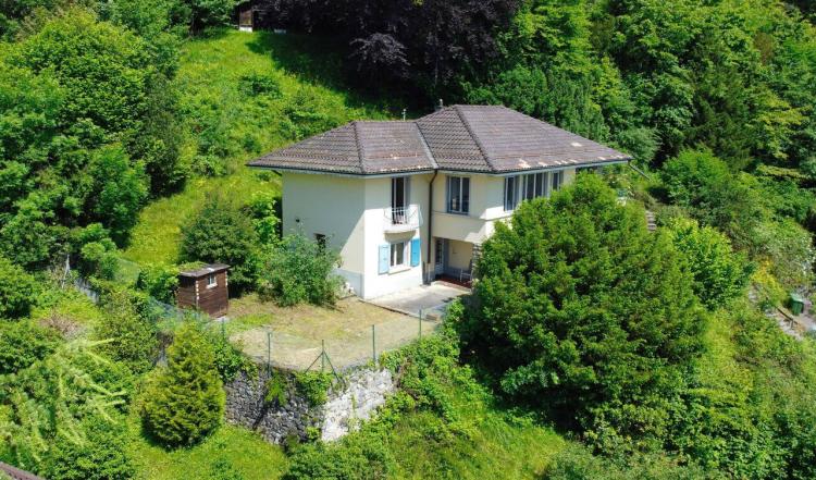 House for sale, Quartier résidentiel, vue panoramique (Montreux, Switzerland)