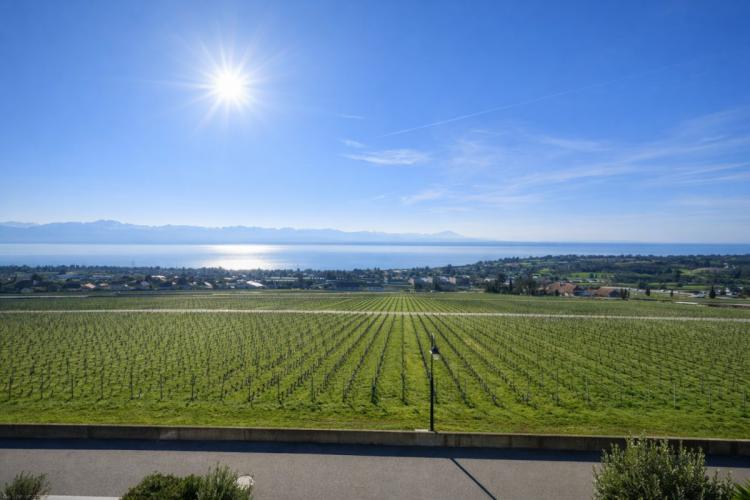Apartment for sale in Mont-sur-Rolle, Switzerland