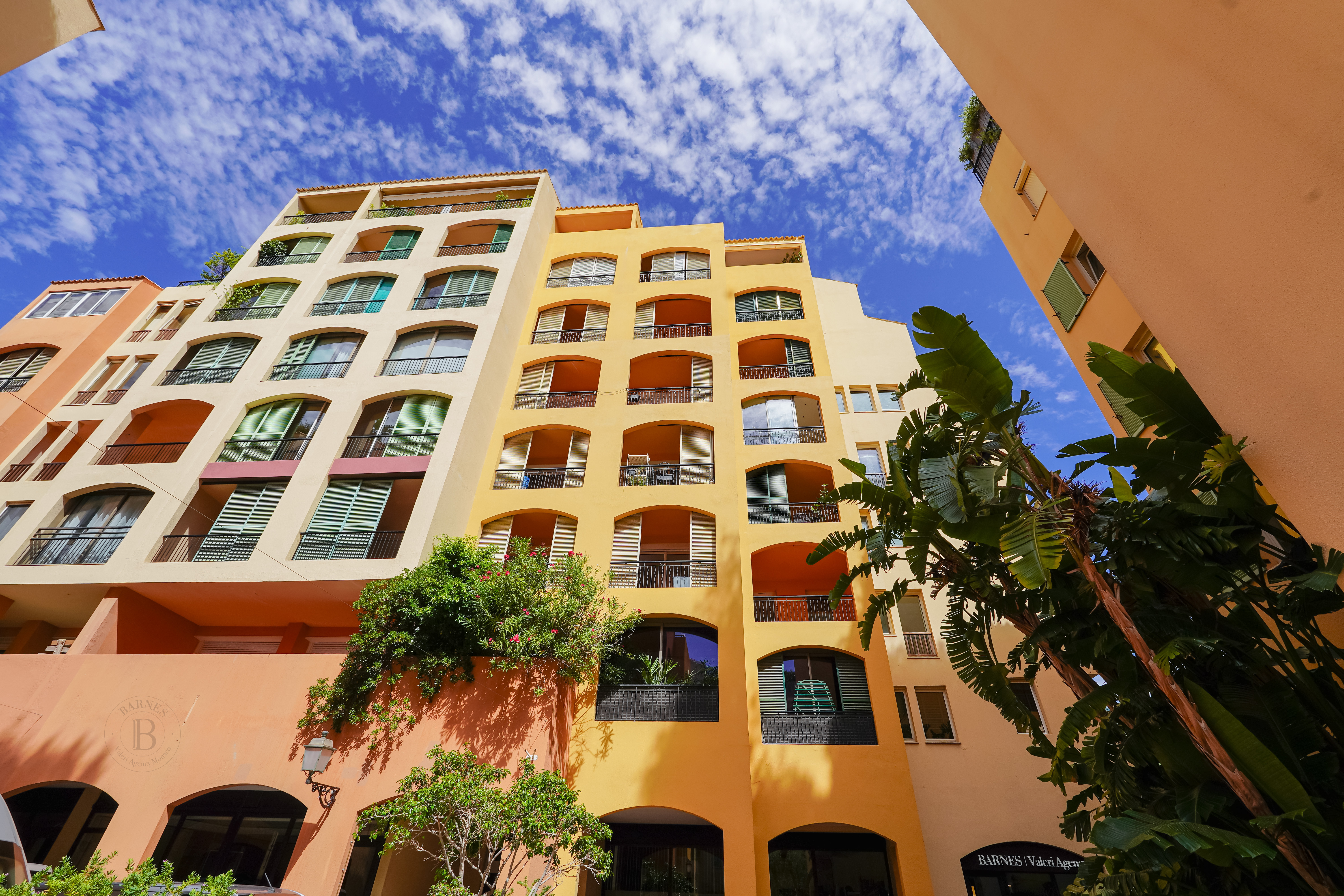 h62Qo_michelangelo-monaco-valeri-agency-1753869018.jpg