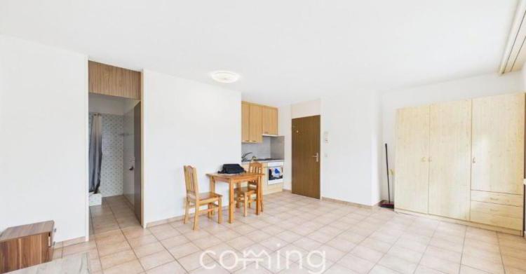 Appartement 1.5 pièces
