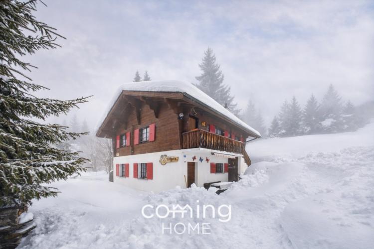 Chalet in Bürchen - zwei Wohnungen, grosszügige Bauparzelle und Baulandreserve in sonniger Hanglage