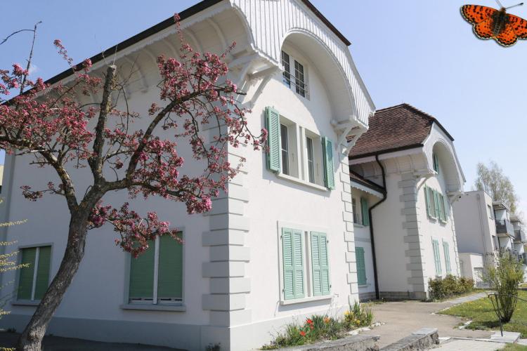 Apartment for rent, Route de Fribourg 27 (Courtepin, Switzerland)