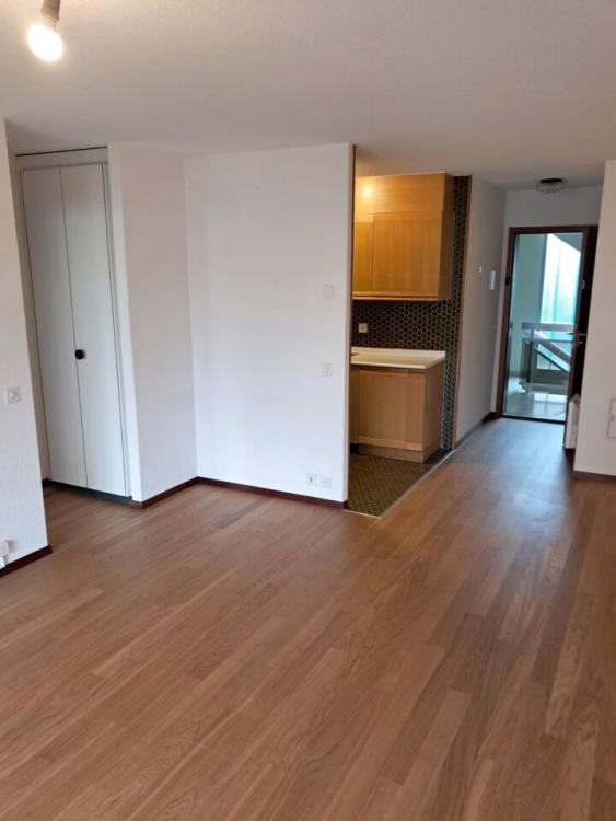 Apartment for rent, 2B Chem. de Jolimont (Rolle, Switzerland)