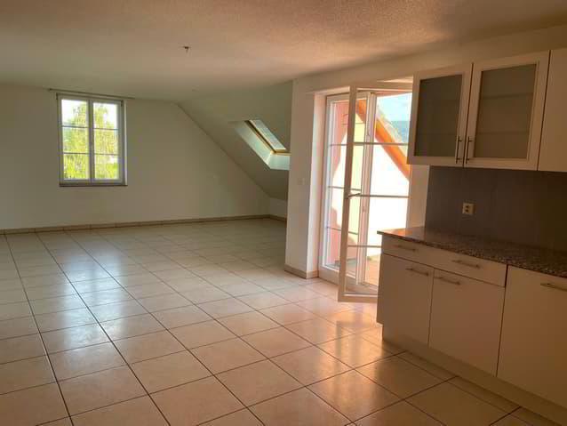 Magnifique duplex de 6 pièces à Delémont