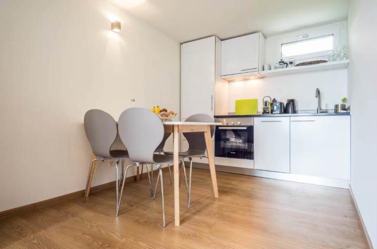 Rooftop Views & Central Location: 1-Bedroom Apartment in Lausanne