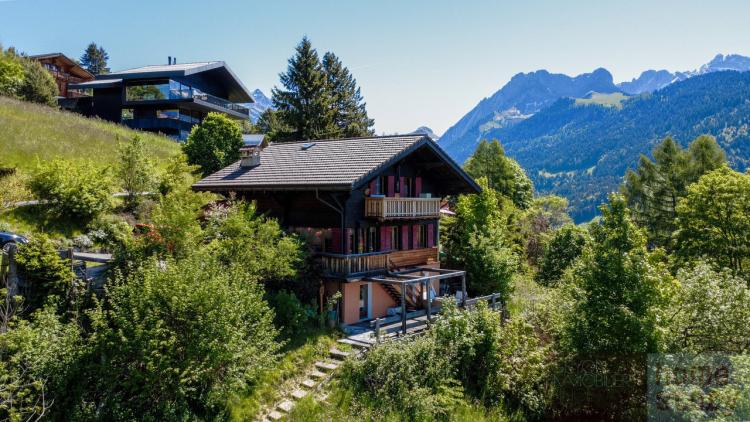 House for sale, Chemin du Sepey 6 (Gryon, Switzerland)