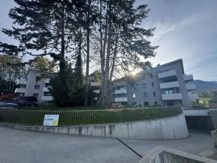 Logement 2.5 pièces - 54m2 au rez-de-chaussée