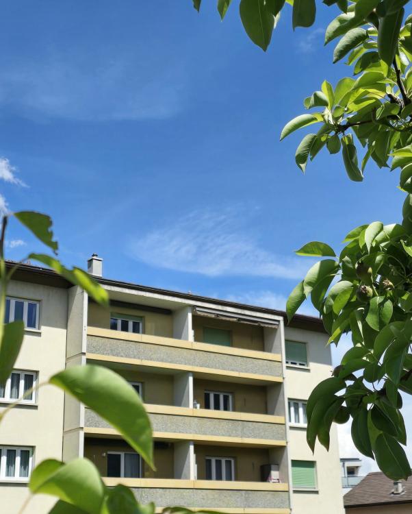 Magnifique appartement 4.5 pièces avec vue