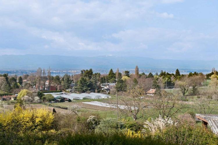 En exclusivité : Propriété à rénover à la Capite