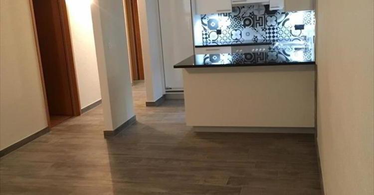 Appartement 3.5 pièces