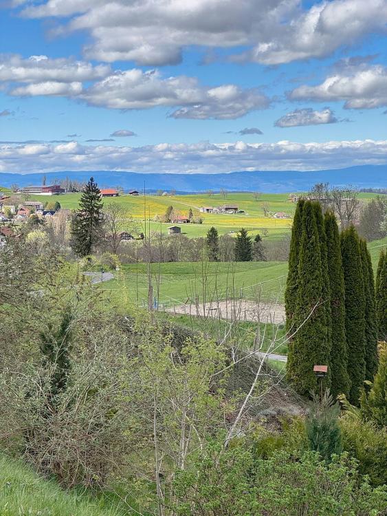 OPPORTUNITE ! Appartement de 4.5 pces Avec balcon