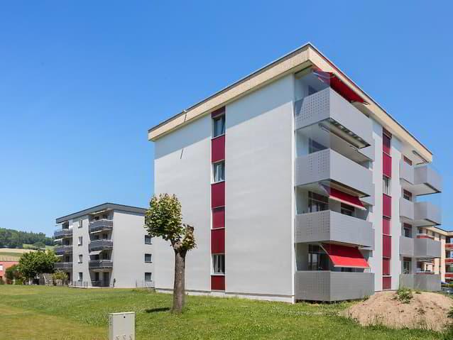 Charmante helle Wohnung 3.5-Zimmerwohnung (76m2)
