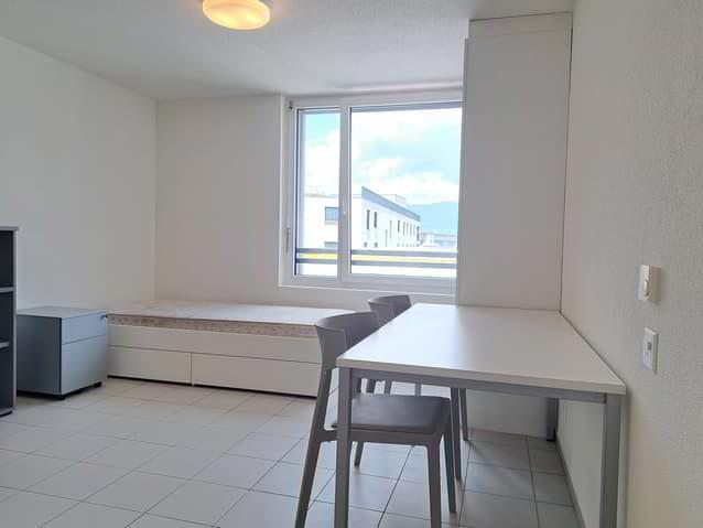 N110 - HALDIMAND 55, Studio de 1.5 pièce meublé de 21m2