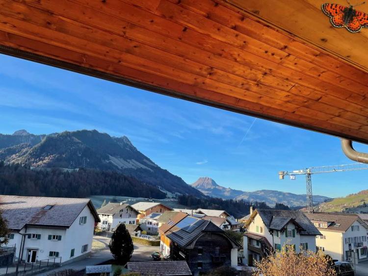 VÖLLIG RENOVIERTE 2-ZIMMER-WOHNUNG MIT BERGCHARME!