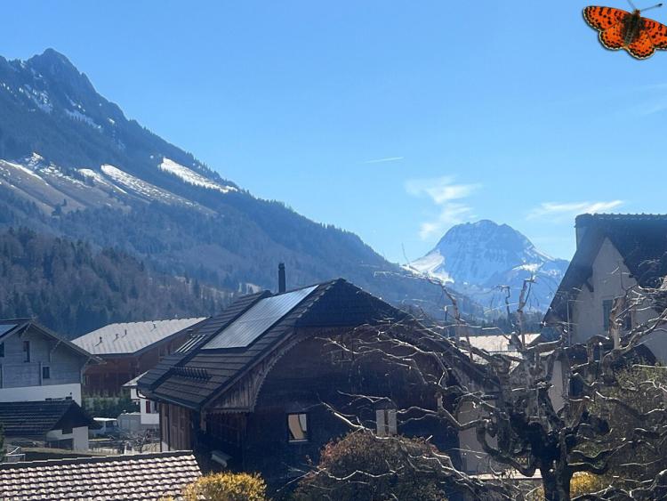 Apartment for rent, Rue du Centre 9 (Val-de-Charmey, Switzerland)