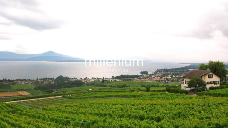 Rez de jardin avec magnifique vue lac.