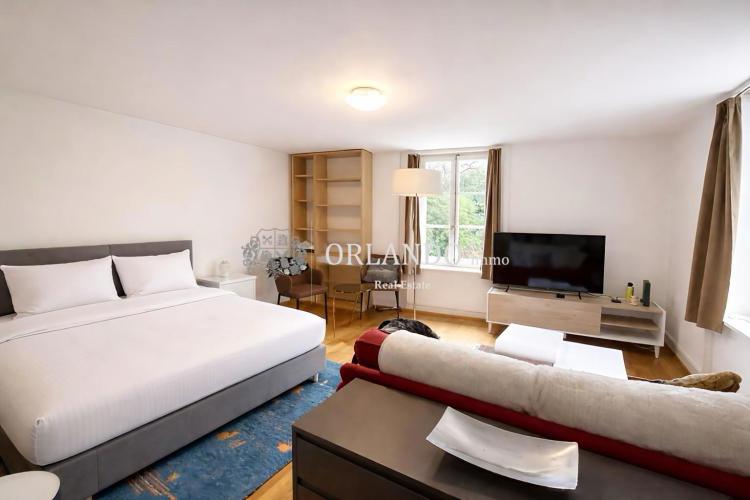 Apartment for rent, Rue Ancienne (Carouge, Switzerland)