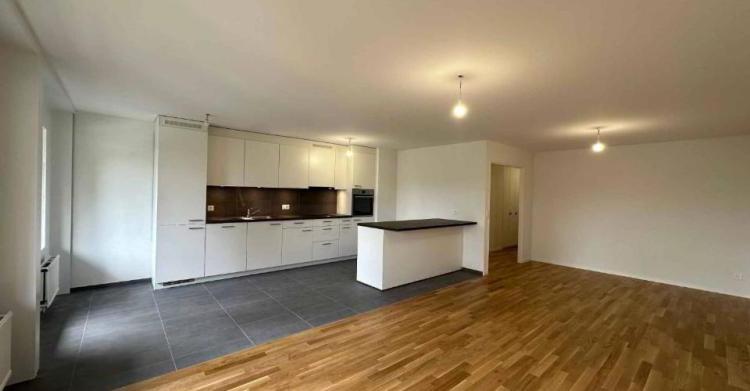 Appartement 4.5 pièces