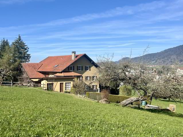 À VENDRE ? Ferme d'exception à Châtel-Saint-Denis