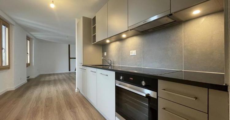 Appartement 1.5 pièces