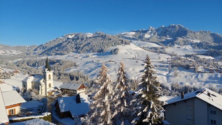 Apartment for sale, Cerniat (Val-de-Charmey, Switzerland)