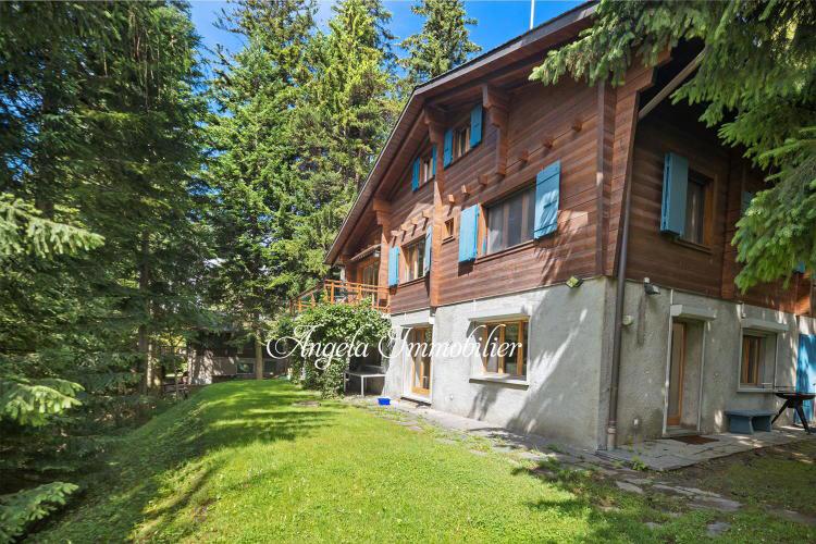 Chalet 9 pièces