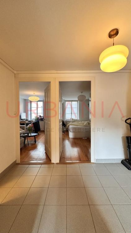 Apartment for rent, rue Jacques-Dalphin 45 (Carouge, Switzerland)