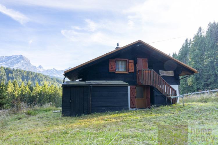 House for sale, Route du col de la croix (Ollon, Switzerland)