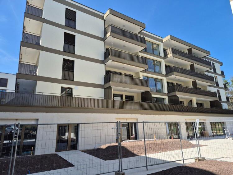 Logement de 1.5 pièces à louer à Marly