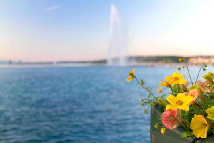 Apartment for sale in Geneva, Switzerland