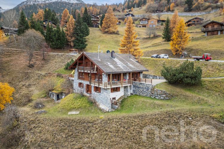 Propriété exceptionnelle de 11 pièces - La Tzoumaz