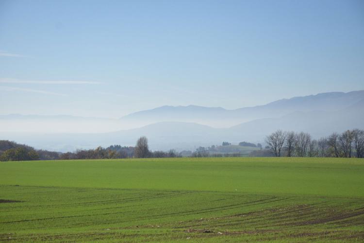 Projet d’une dizaine de logements neufs à louer