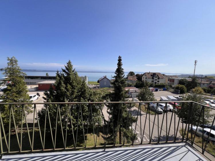 Appartement lumineux avec panorama exceptionnel sur le lac et les Alpes
