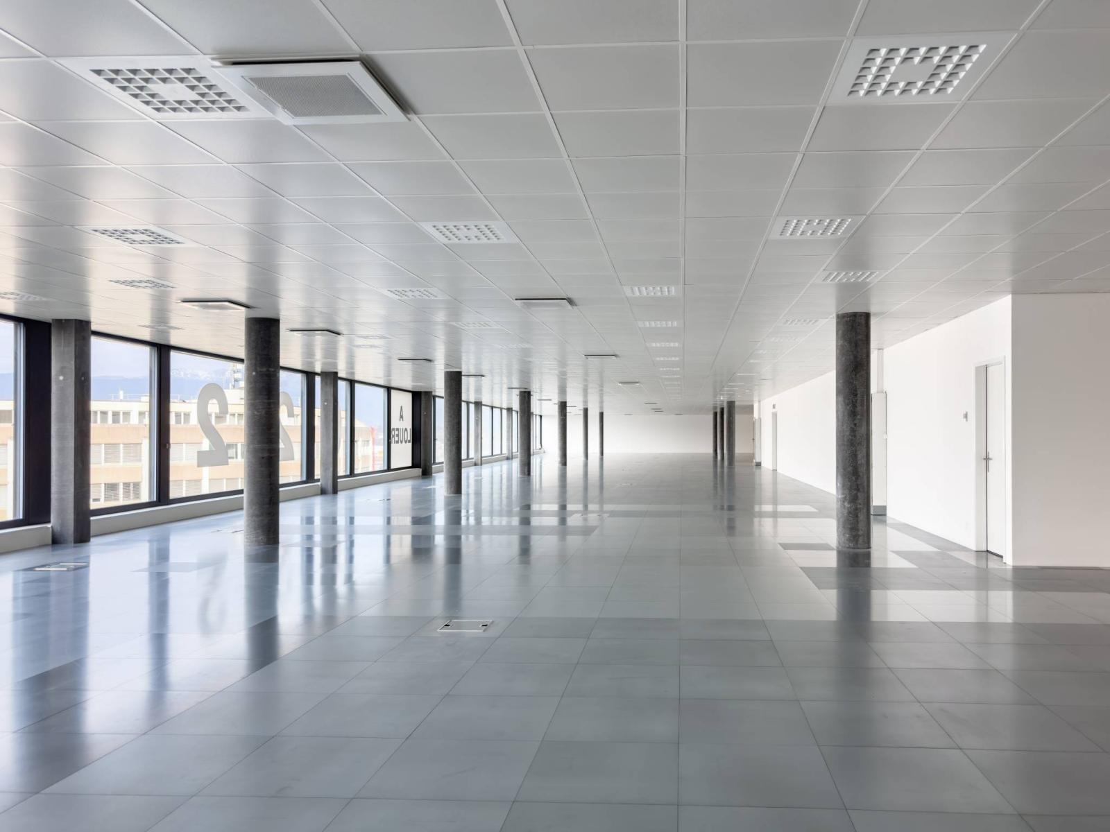 Magnifiques surfaces commerciales/bureaux à louer à Plan-les-Ouates
