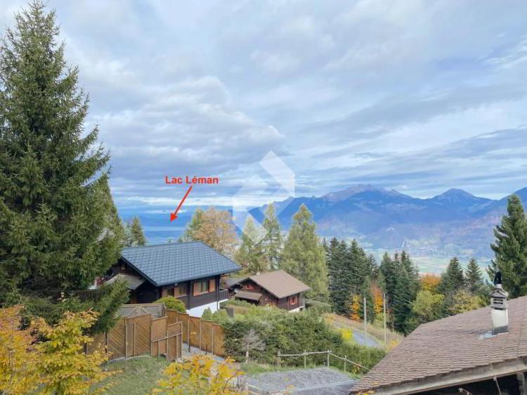 Superbe chalet rénové avec studio indépendant et vue panoramique sur le Lac Léman