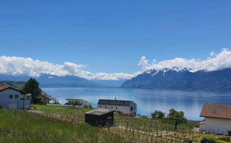 Apartment for sale, Grandvaux (Bourg-en-Lavaux, Switzerland)