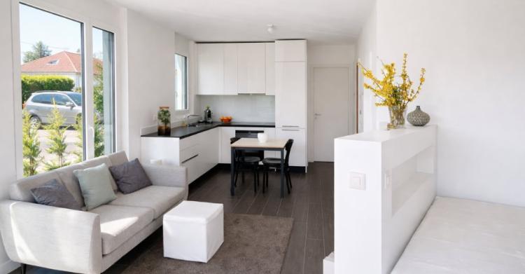 Appartement terrasse 1.5 pièces