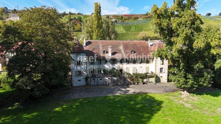 Un château d'exception face au lac de Morat à vendre à Vallamand