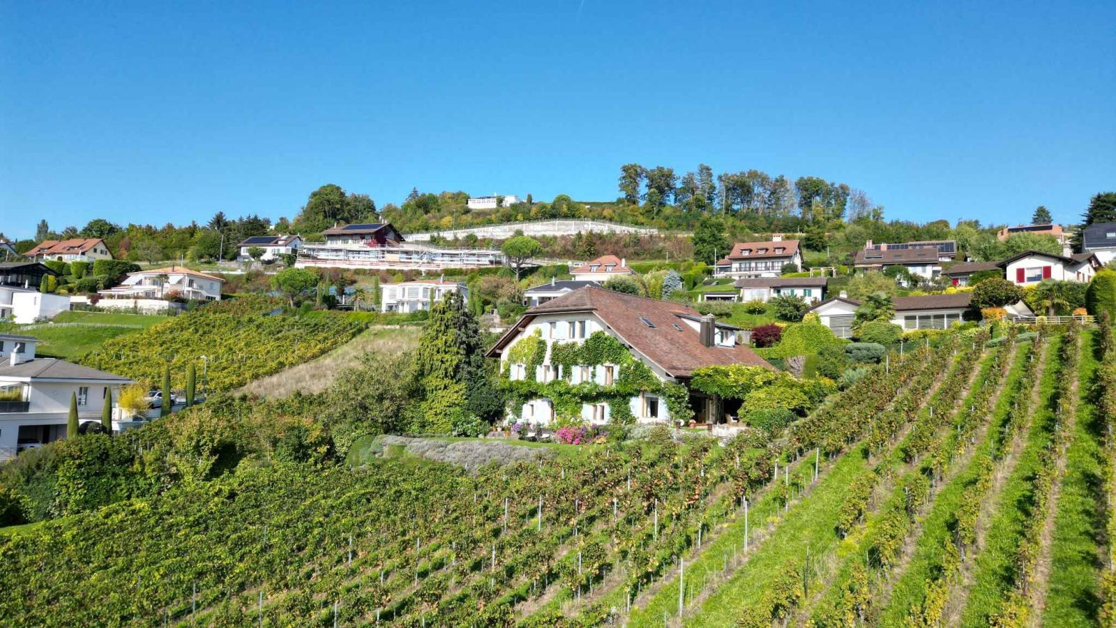 Demeure vigneronne d’exception de plus de 450 m2 avec vue imprenable