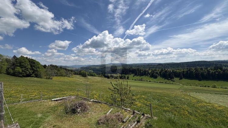 UNE VUE MAGNIFIQUE SUR LA NATURE