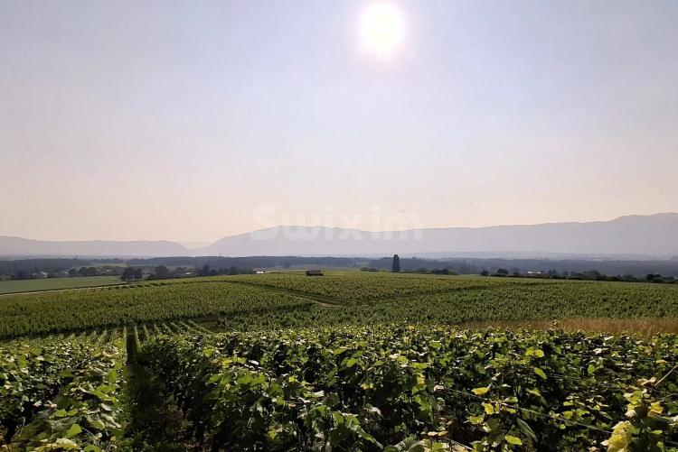 House for sale in Geneva, Switzerland