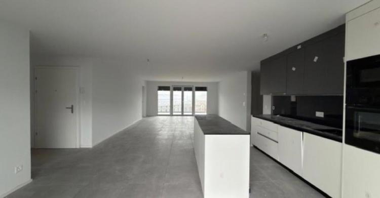 Appartement 4.5 pièces