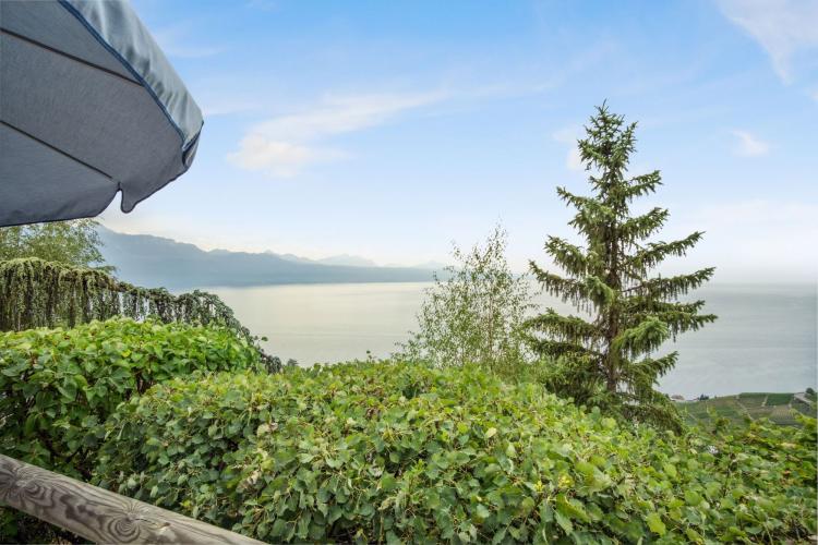 Villa individuelle avec vue panoramique sur le Léman – Lavaux