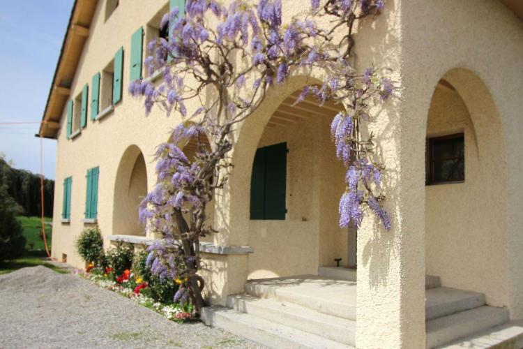 Apartment for rent, Route des Chevaliers de Malte 39 (Plan-les-Ouates, Switzerland)